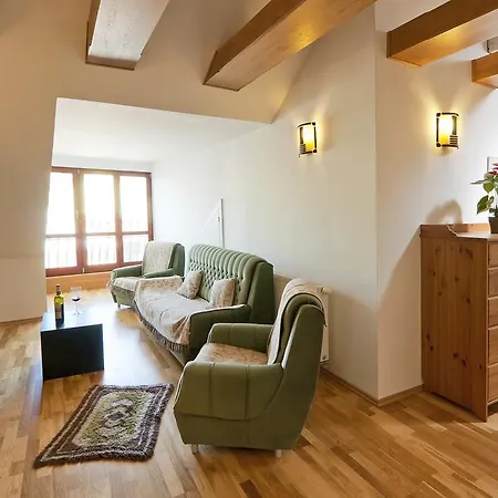 Apartament Cizek