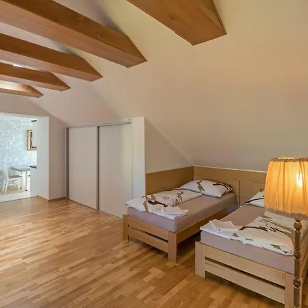 Appartement Cizek Mikulov