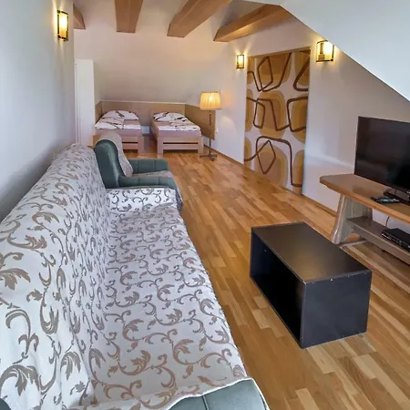Appartement Cizek *